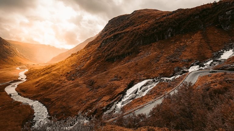 Sitamet Risus Nullam Egetcras Ornare Vivamus Felisbibendum redcharlie 1372584 unsplash